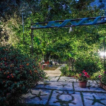 Arya Holiday Houses Çıralı Exteriér fotografie