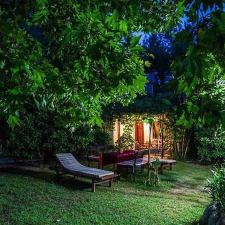 Arya Holiday Houses Çıralı Exteriér fotografie