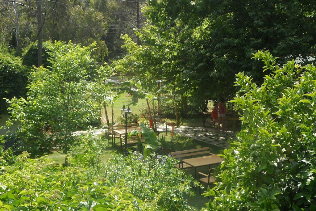 Arya Holiday Houses Çıralı Exteriér fotografie