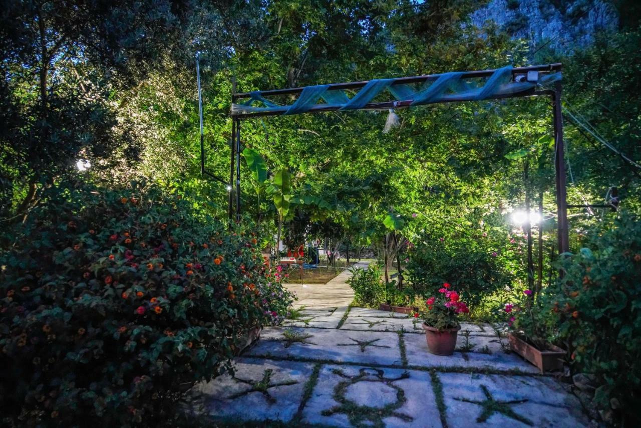 Arya Holiday Houses Çıralı Exteriér fotografie