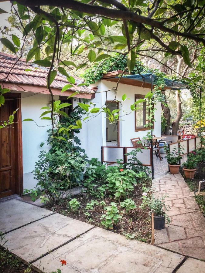 Arya Holiday Houses Çıralı Exteriér fotografie