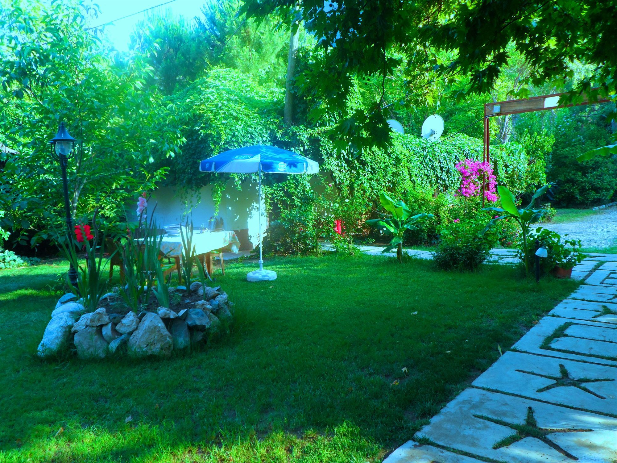 Arya Holiday Houses Çıralı Exteriér fotografie