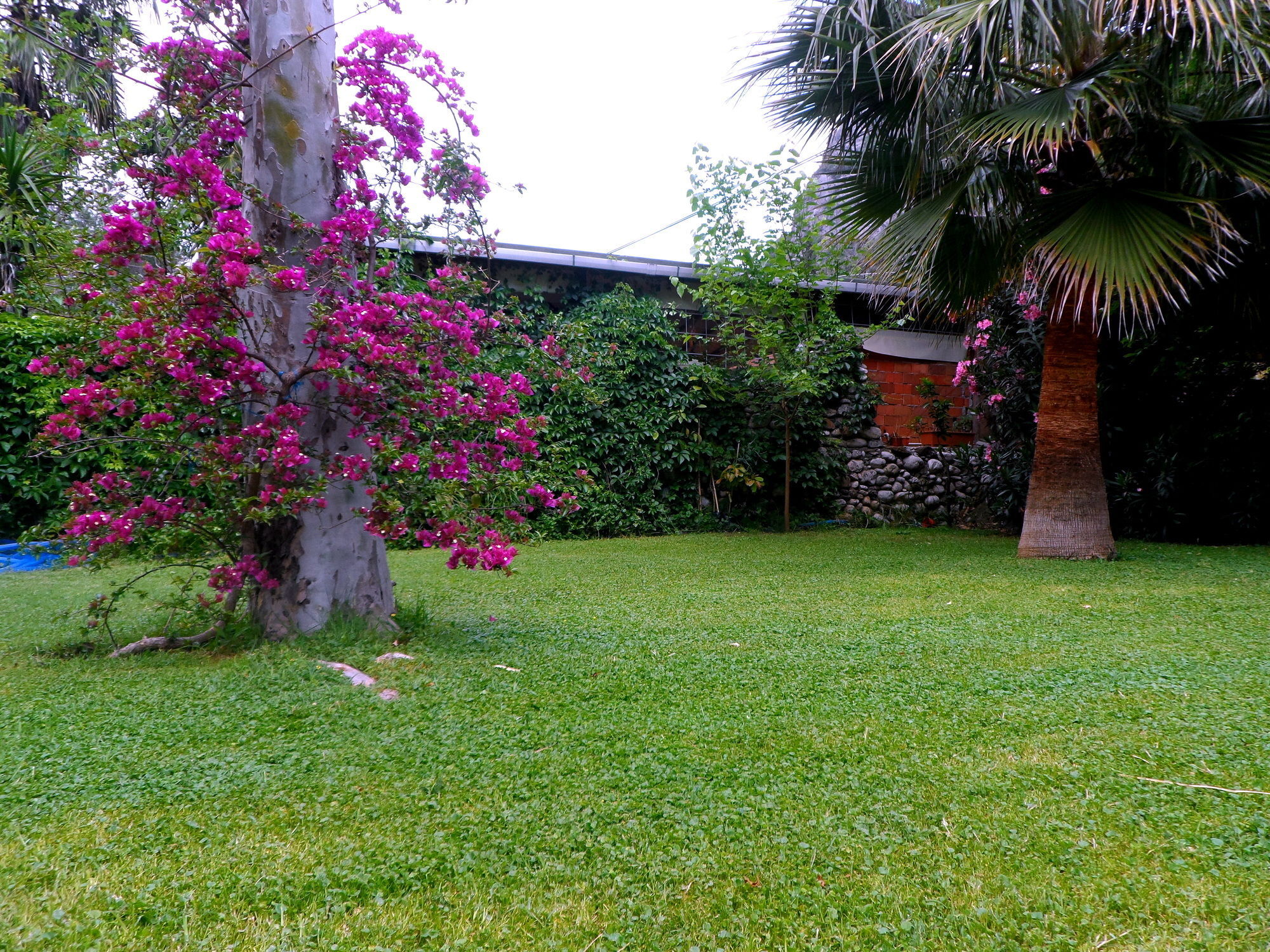 Arya Holiday Houses Çıralı Exteriér fotografie