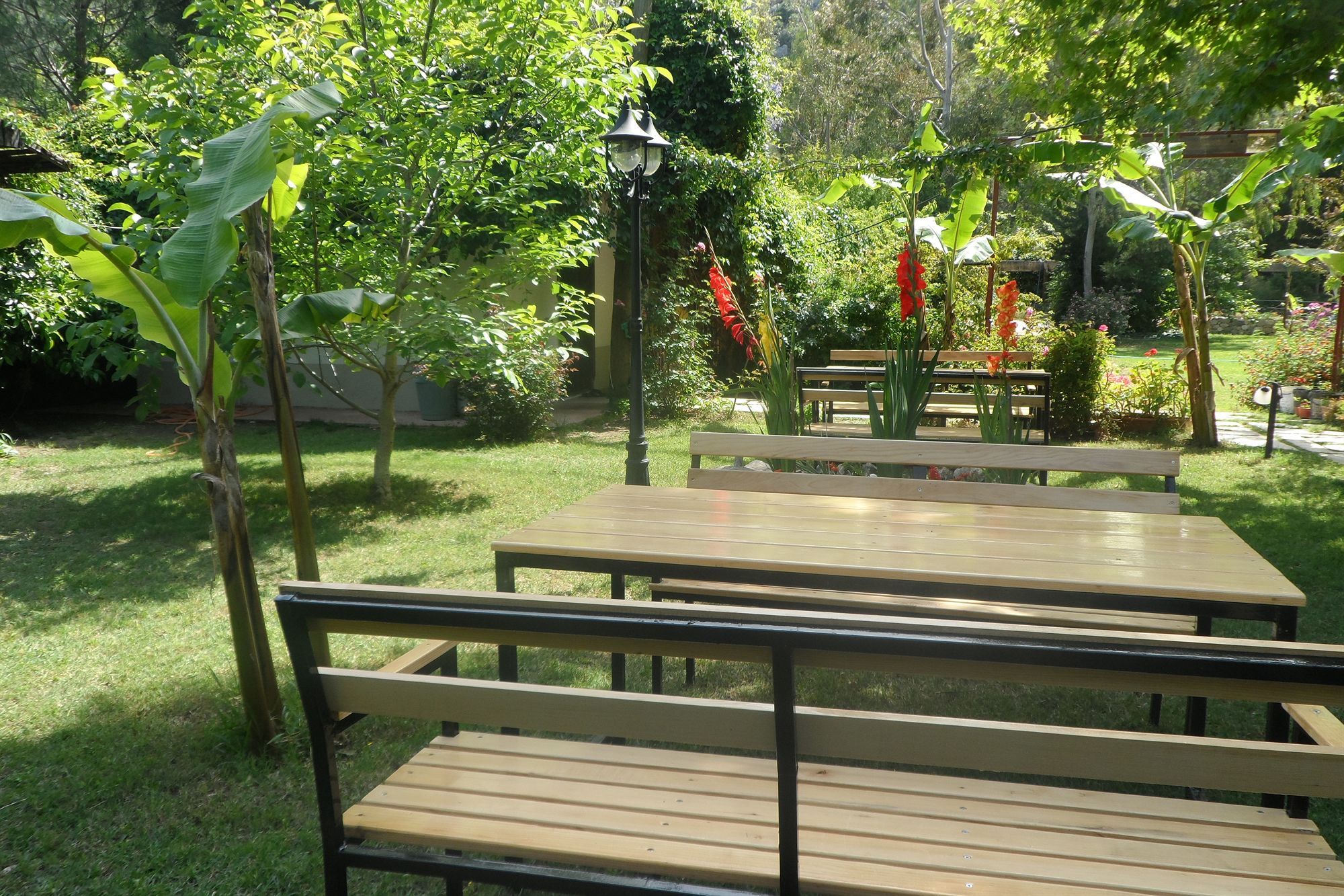 Arya Holiday Houses Çıralı Exteriér fotografie