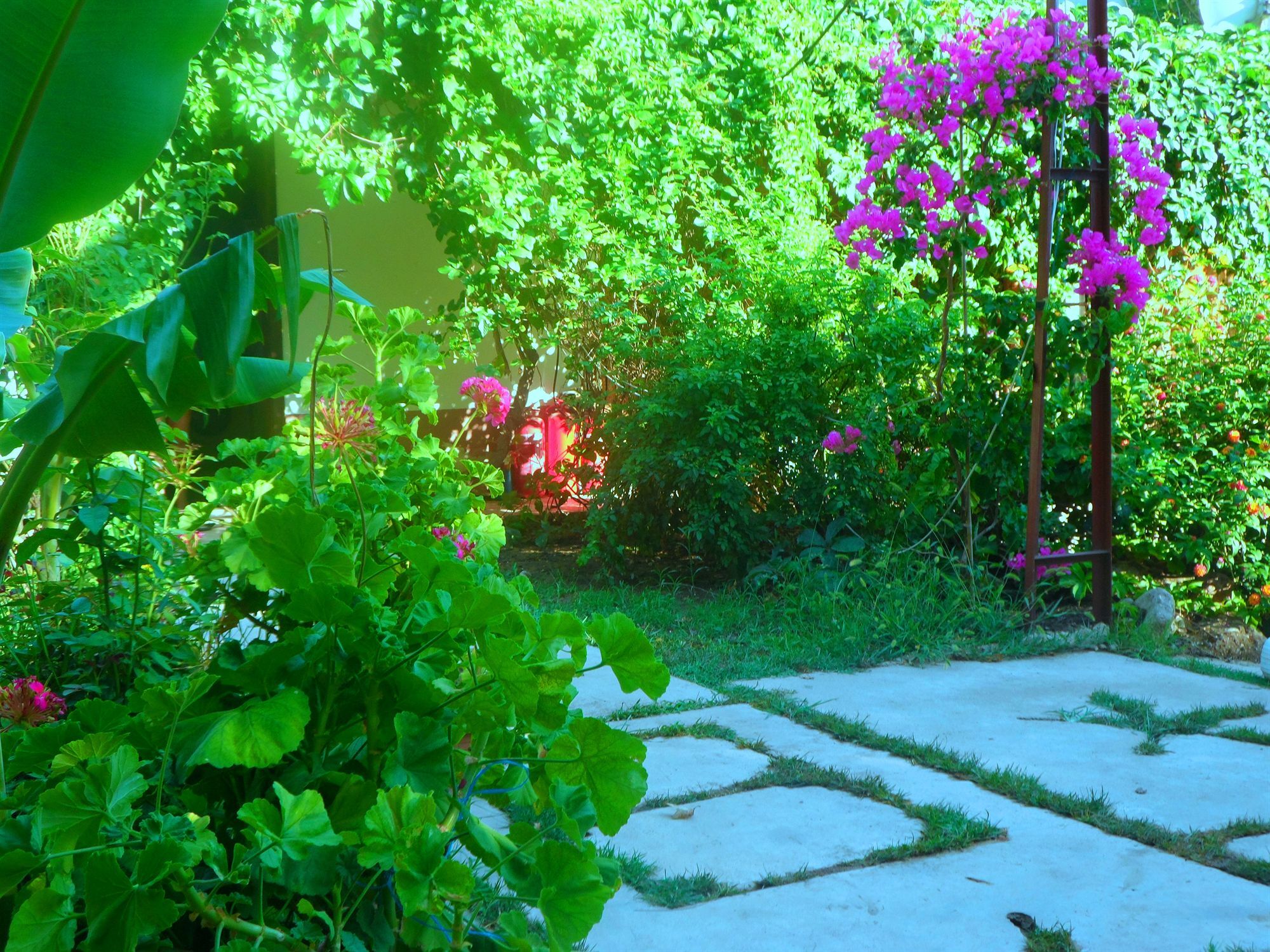 Arya Holiday Houses Çıralı Exteriér fotografie