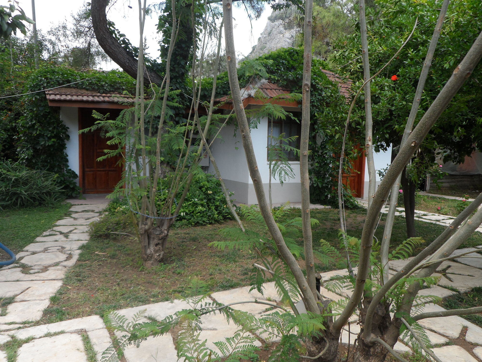 Arya Holiday Houses Çıralı Exteriér fotografie