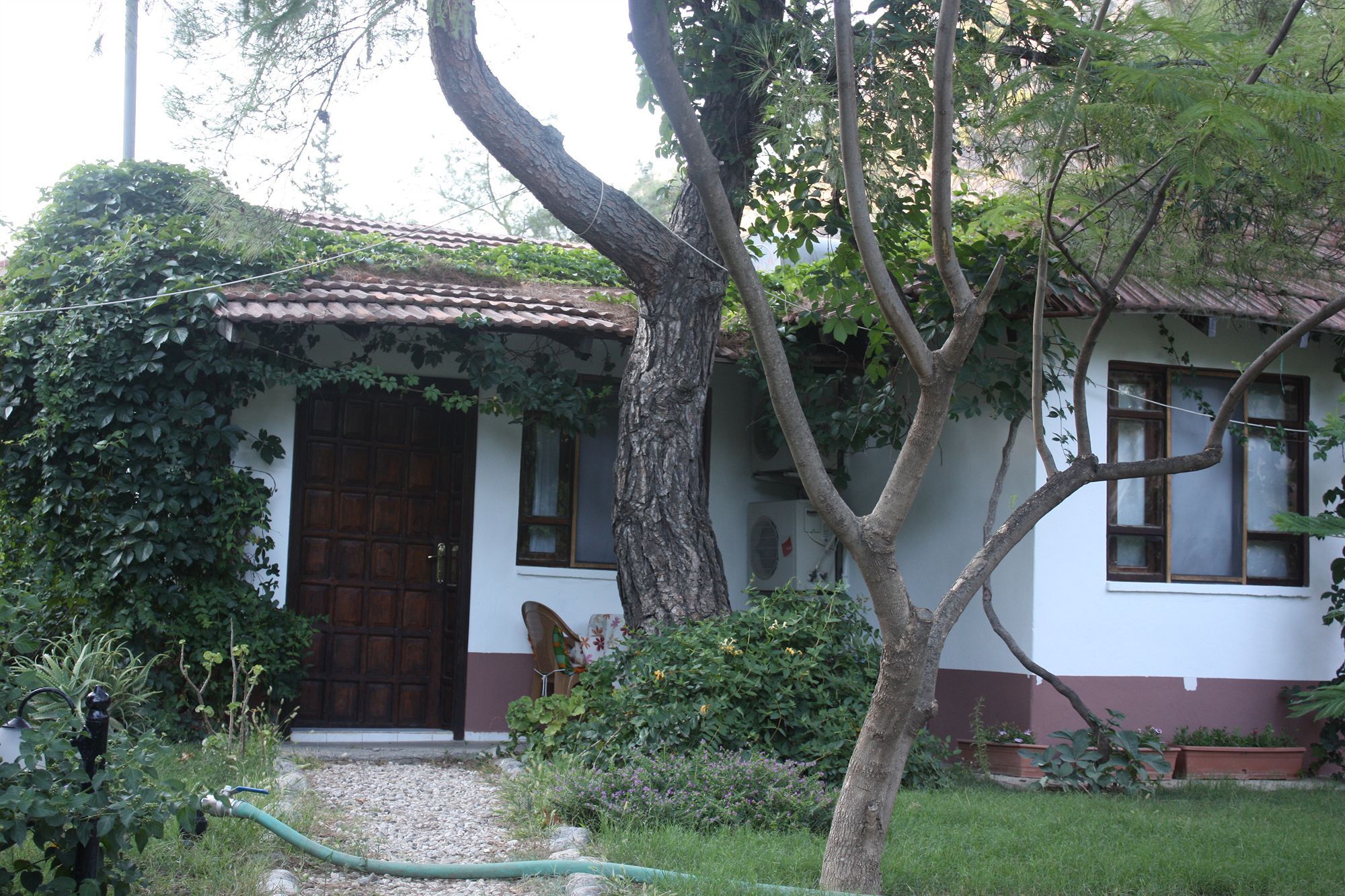 Arya Holiday Houses Çıralı Exteriér fotografie
